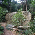 Massive boulder along Contour Path