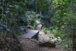 Bridge along Contour Path