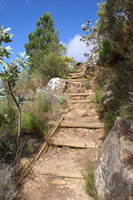 Beautiful path along Contour Path on Table Mountain