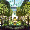 Hendrik Boom's Garden at Grand West Casino