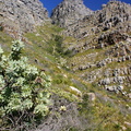 View up Platteklip Gorge on Table Mountain