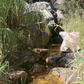 Stream at Platteklip Gorge