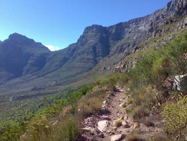 Table Mountain from contour path