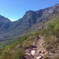 Table Mountain from contour path
