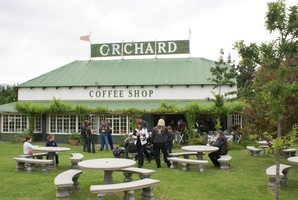 HOG Ride via Villiersdorp - Coffee stop at The Orchards on Sir Lowry's Pass