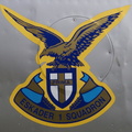 1 Squadron, SAAF