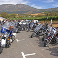 SITA Jazz Festival Ride - Police Harley
