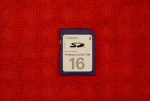 Sony A100 - Macro Test - Sony 18-70mm lens @ 20cm