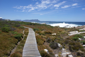 Kleinmond Nature Reserve, South Africa