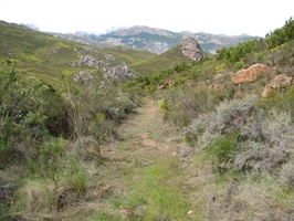 Old Franschhoek Pass Road - View on top of road