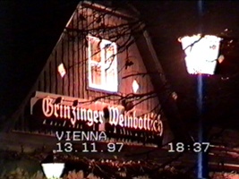 Wine Village, Vienna where we had supper
