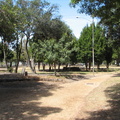 View inside Pinelands Park