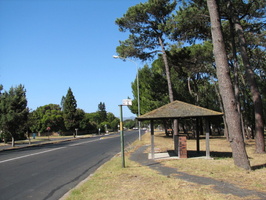 Bus Stop, Pinelands