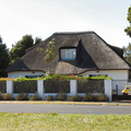 Typical Thatched Pinelands House
