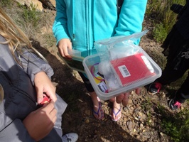 Found the geocache at top of Franschhoek Pass