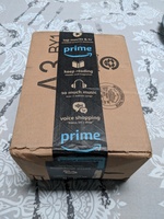 Ticwatch Pro - just delievred in its Amazon box