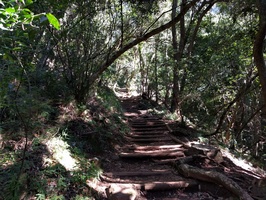 Fairly tame steps at the start of Skeleton Gorge