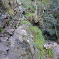 Ladders section on Skeleton Gorge Hiking Trail