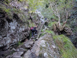Ladders section on Skeleton Gorge Hiking Trail