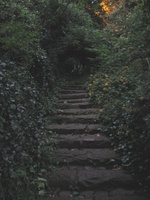 Pathway near Cabbot\'s Tower, Bristol, England