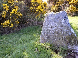 Clan Stewart fell here on Culloden Battlefield