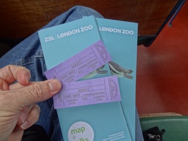 Our tickets for the boat ride and London Zoo