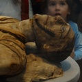 Mummies at the British Museum