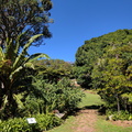 Kirstenbosch Gardens - can just see the Boomslang Walkway in the centre