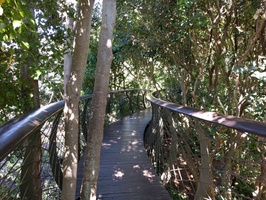Centenary Tree Canopy Walkway