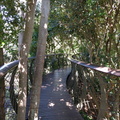 Centenary Tree Canopy Walkway