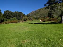 Kirstenbosch Gardens - Green lawns