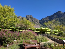 The Kirstenbosch Tea Room Restaurant near the upper entrance