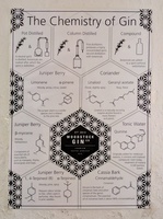 The Chemistry of Gin at The Woodstock Gin Company