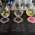 Tasting three different Gins with diferent extras added such as sticks of cinnamon, apple, cucumber, mint leaves, orange peel, etc