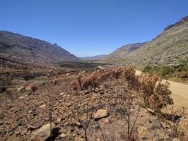 Badly burnt area just over Uitkyk Pass
