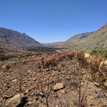 Badly burnt area just over Uitkyk Pass
