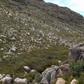 Video showing rock cairns