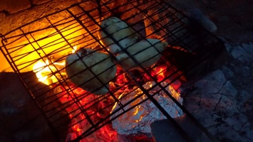 Video of meat sizzling on fire