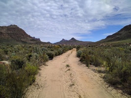 The trail to Disa Pool starts with a 4km stretch of road