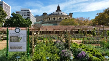Cape Town Company Garden's VOC Vegetable Garden