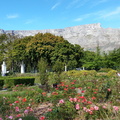 Rose Garden in Company Gardens in Cape Town