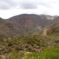 Majestic Swartberg Mountains and the pass snaking down the mountain