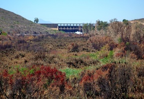 Clanwilliam Dam wall