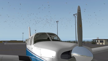 Piper PA-32R in X-Plane with birds flying over