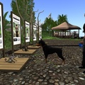 Lovely trainable monkeys for sale in Second Life
