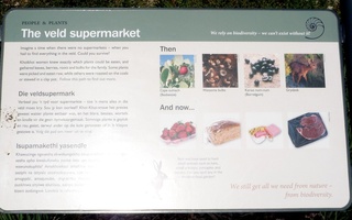Green Point Park - Veld Supermarket