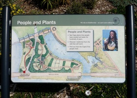 Green Point Park - People and Plants