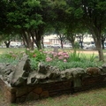 Park at Central Square in Pinelands