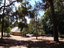 Tea room under the trees