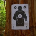 Target practice in the forest